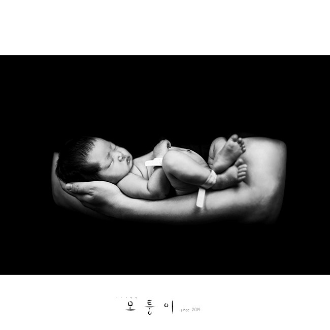 내가본사진관 이미지