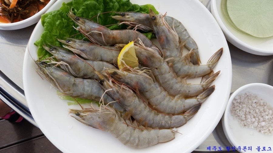 노을빛돼지 이미지
