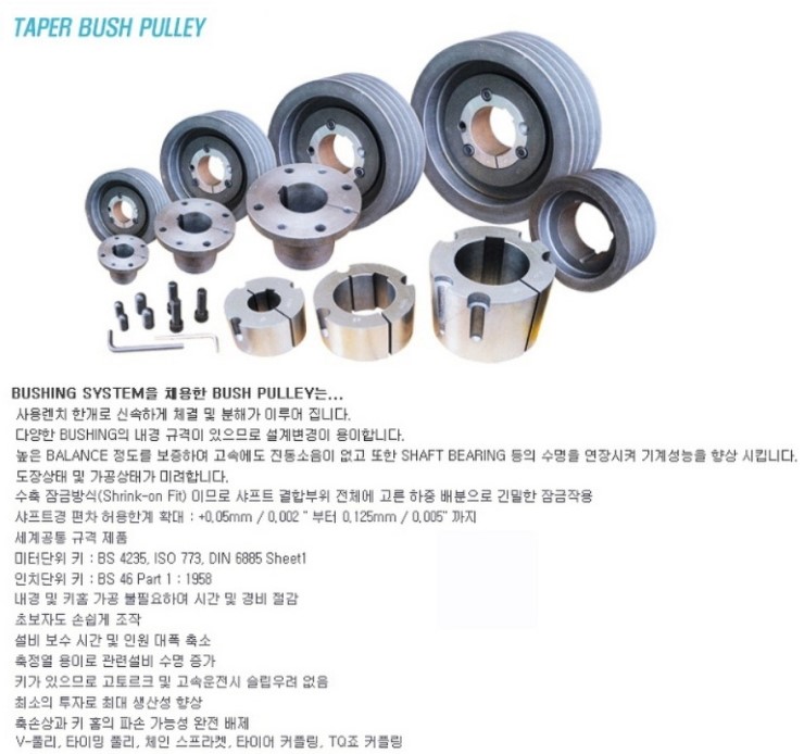 부쉬(bush) 이미지