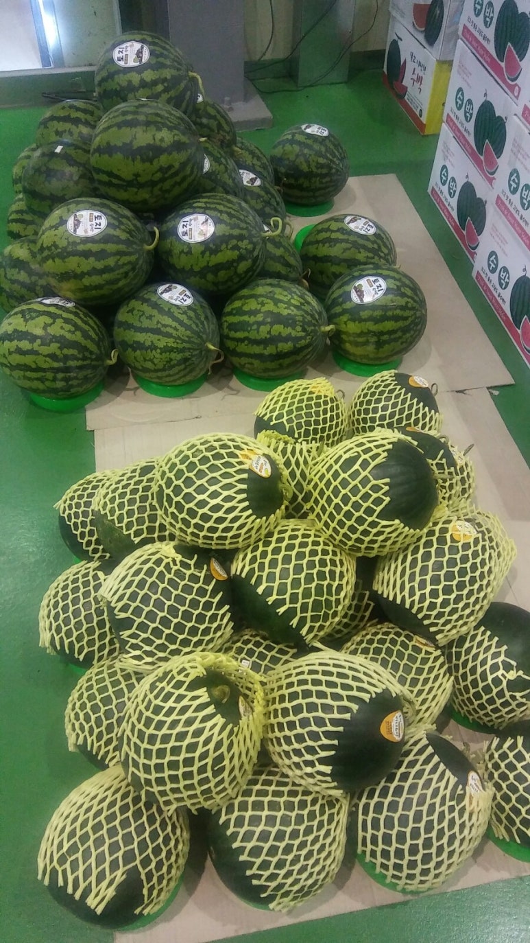 우리동네 과일과게 이미지