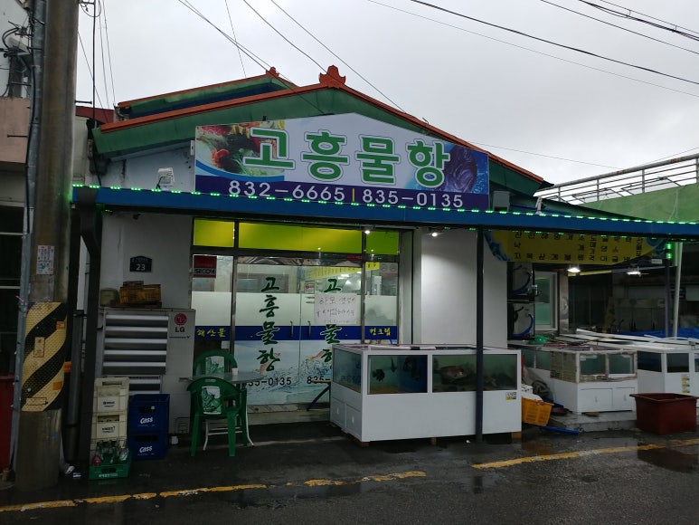 고흥물항 이미지