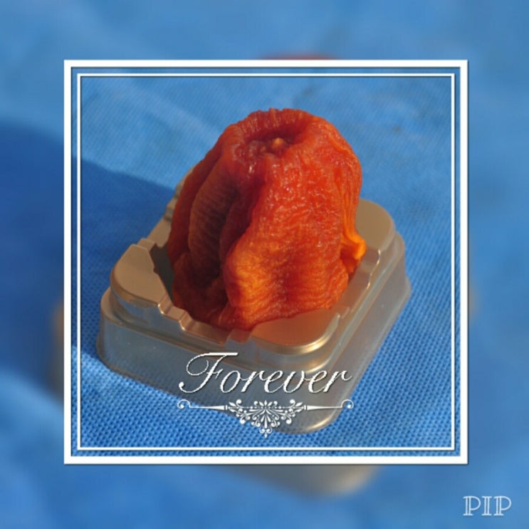 오리나라만세 이미지