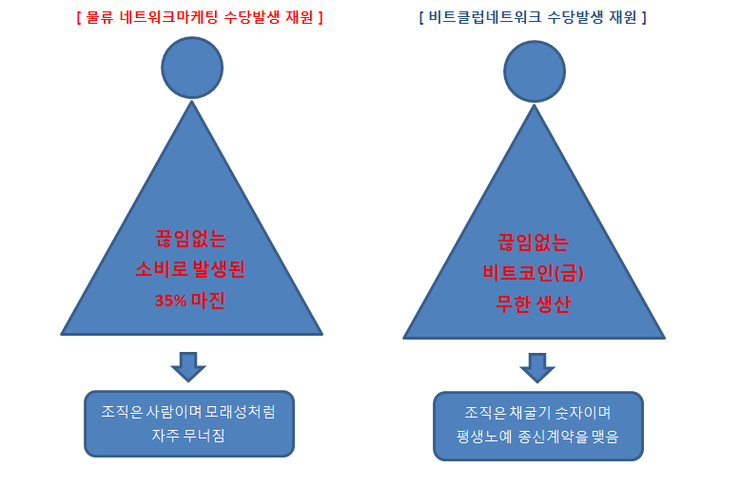 비트네트워크 이미지