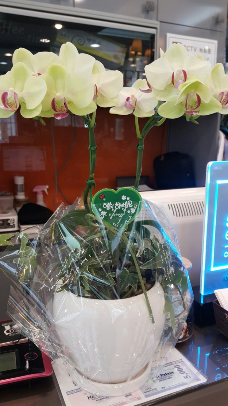 은천미용실 이미지