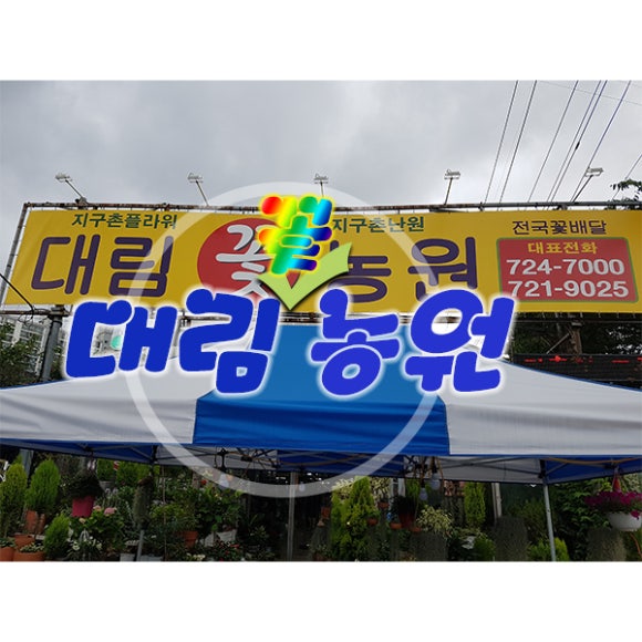 대림꽃농원 이미지
