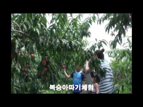 곰마을민박 이미지