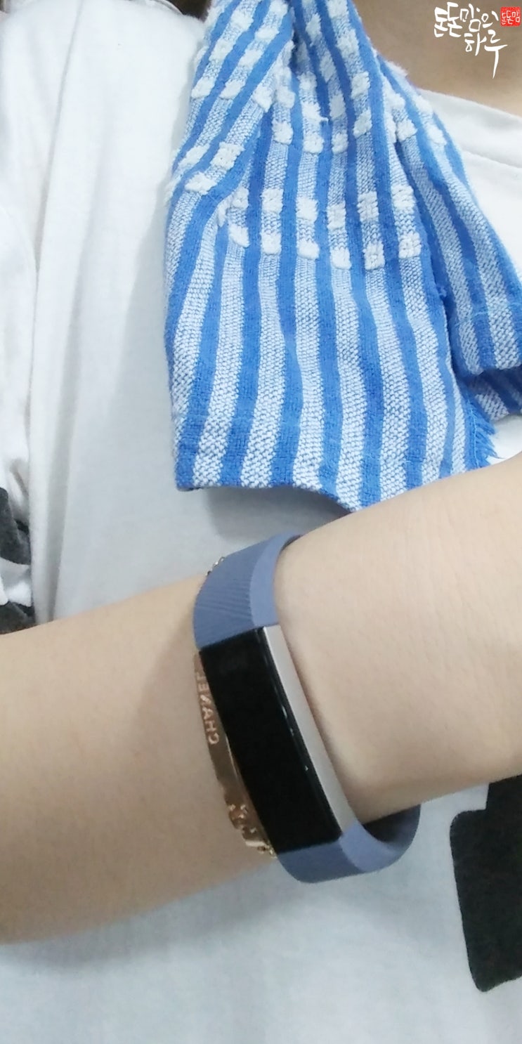 수성헬스클럽 이미지