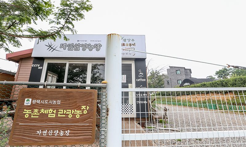 자연산양농장 이미지