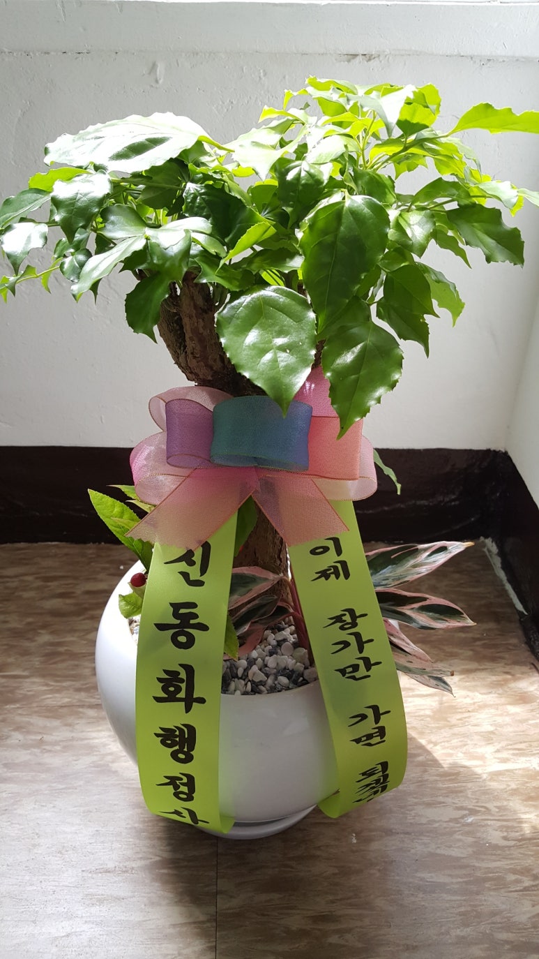 행복행정사사무소 이미지