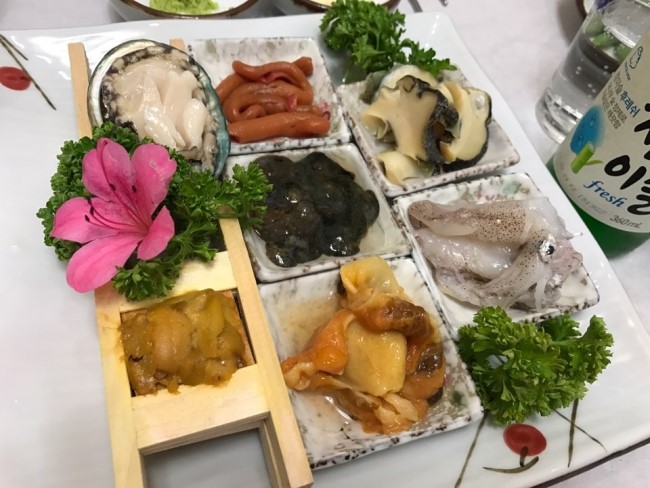 싱싱나라 이미지