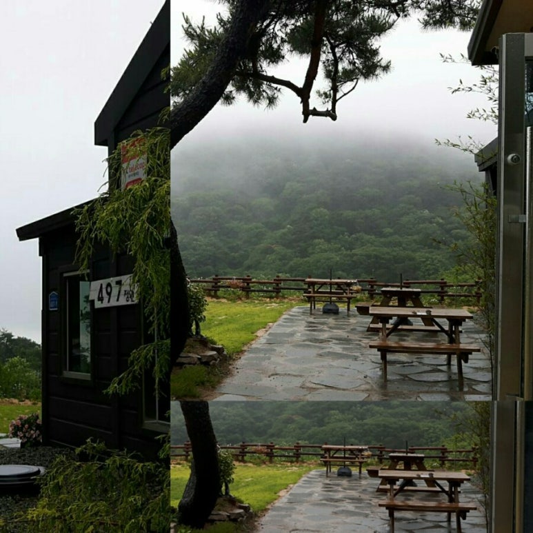 497정원 이미지