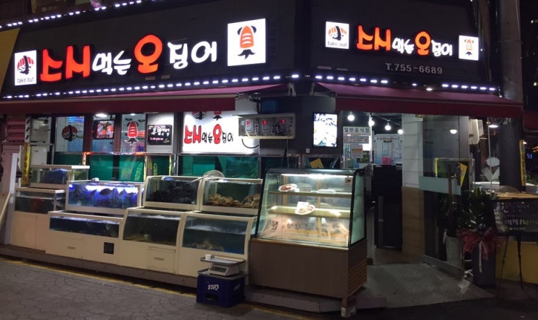 스시 먹는 오징어 이미지
