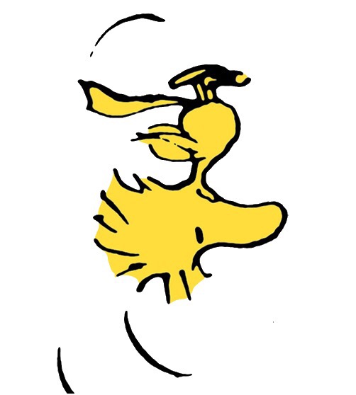 우드스탁(woodstock) 이미지