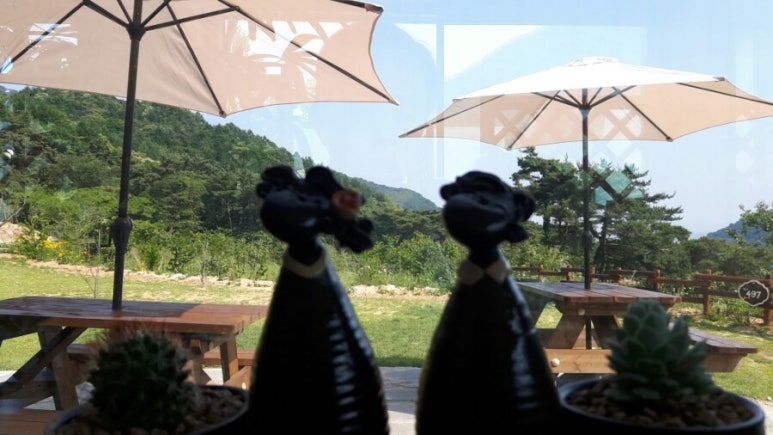 497정원 이미지