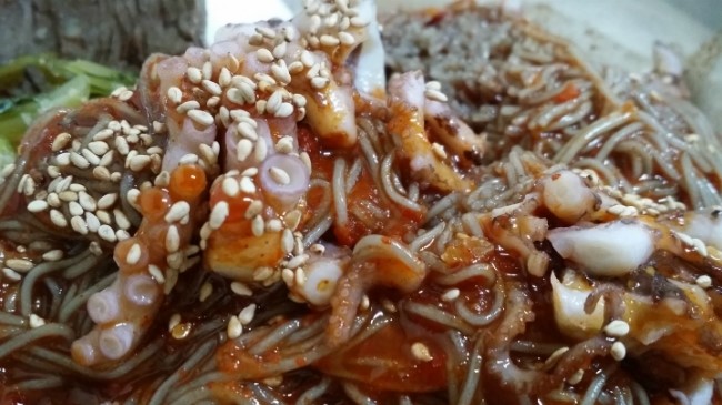 곰집 이미지