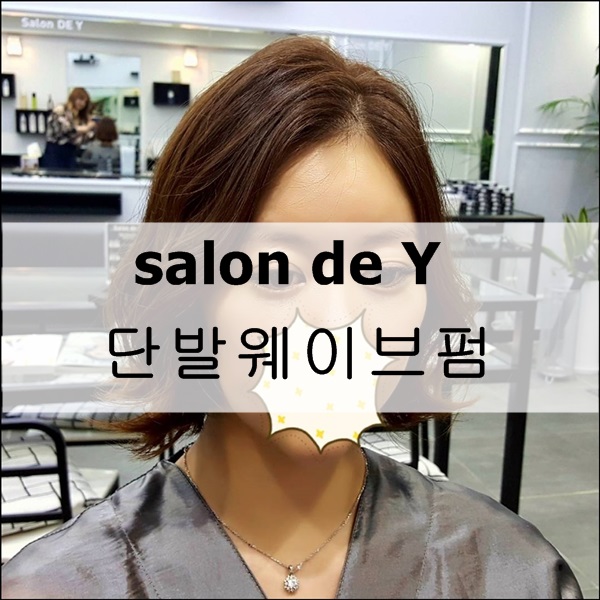 살롱드와이 이미지