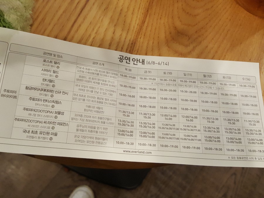 라이언의보물섬 이미지