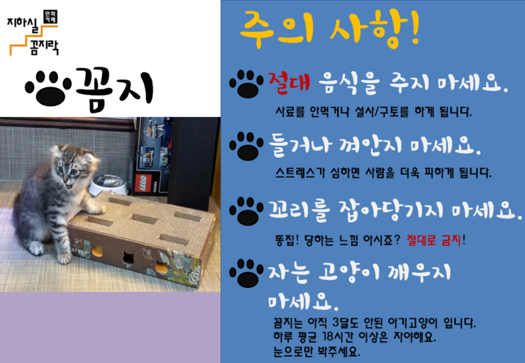 꼼지락꼼지 이미지