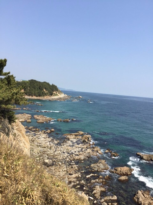 울진이모네 이미지