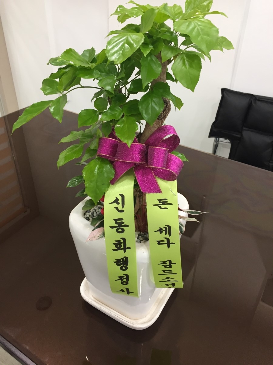 부울경행정사사무소 이미지