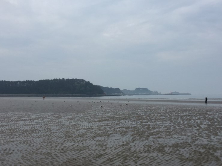 사거리신발 이미지