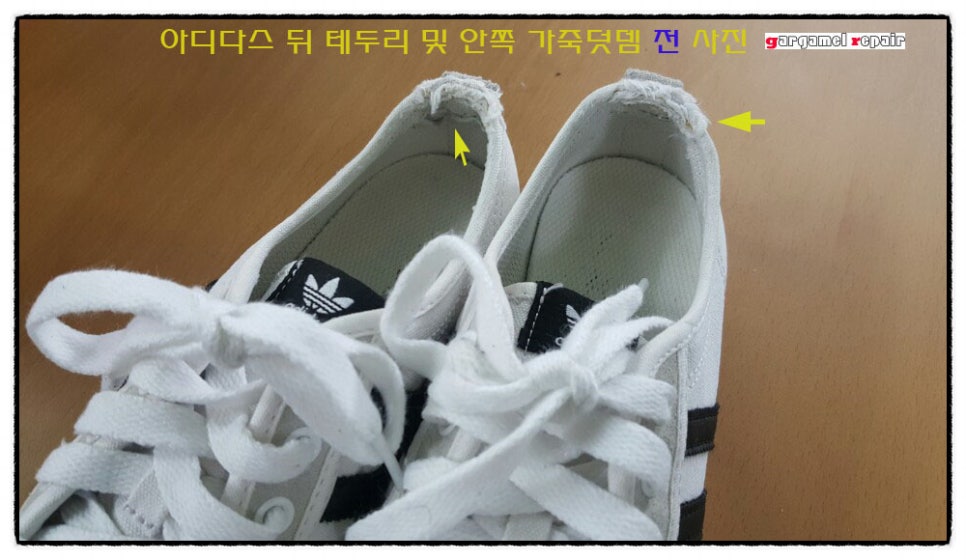 두리수선 이미지