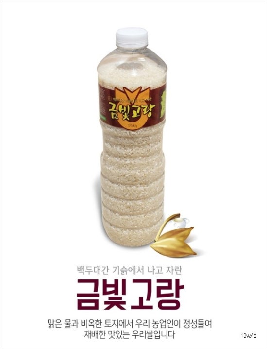 금빛인력 이미지