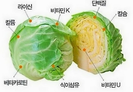 위캔짐 이미지