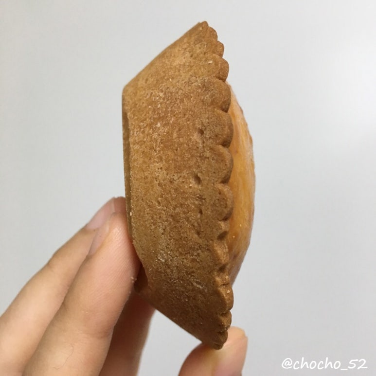 리꼬비 이미지