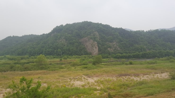 금강신세 이미지