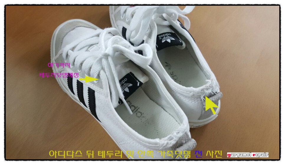 두리수선 이미지