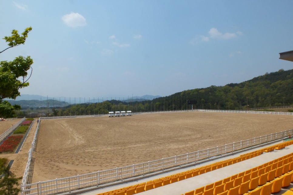 국제승마장 이미지