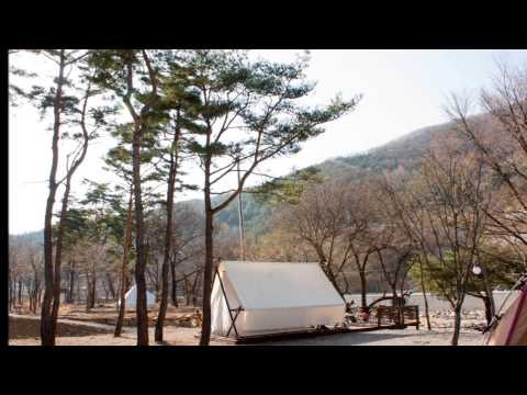 (주) 모아에스엔 이미지