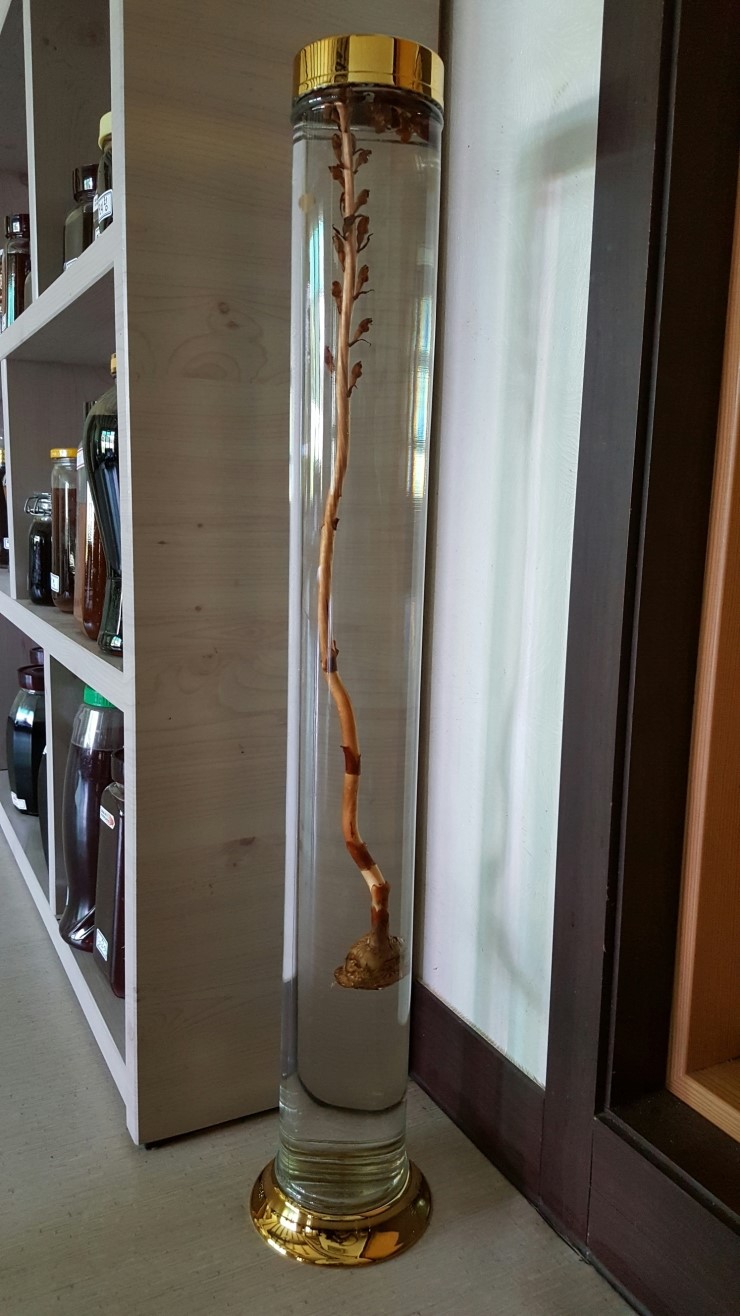 천마자연농원 이미지