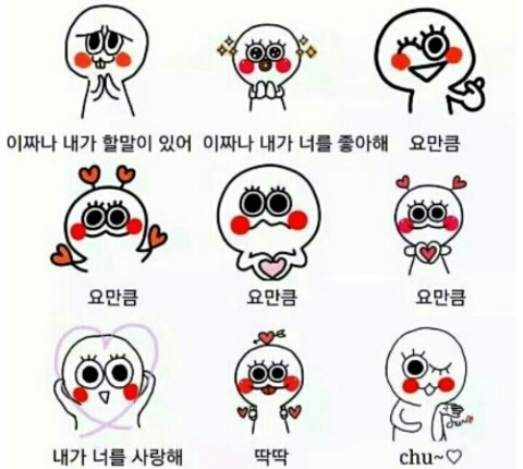 동그리 이미지