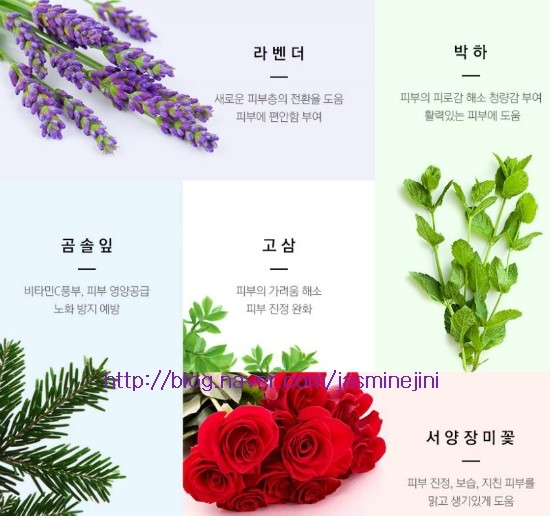 제로디펙트 이미지