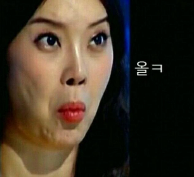 하이보 이미지