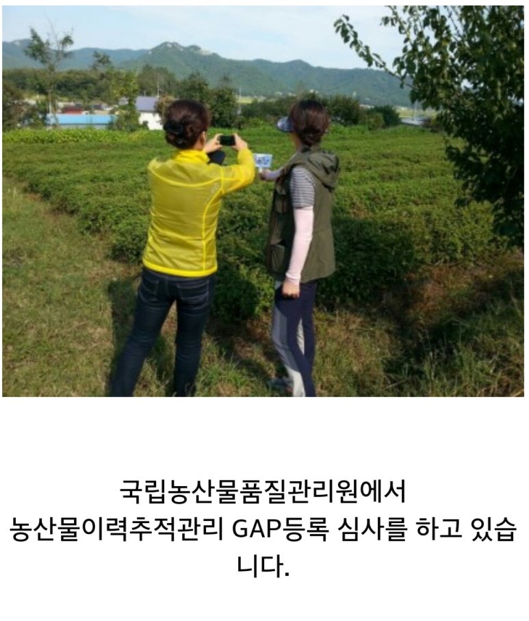 진88식품 이미지