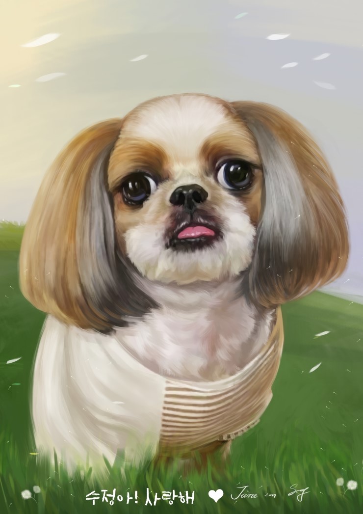 보리사랑 이미지
