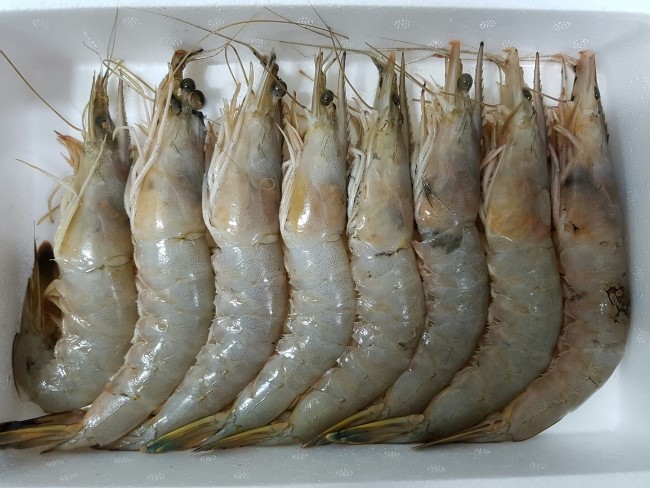 다정수산 이미지