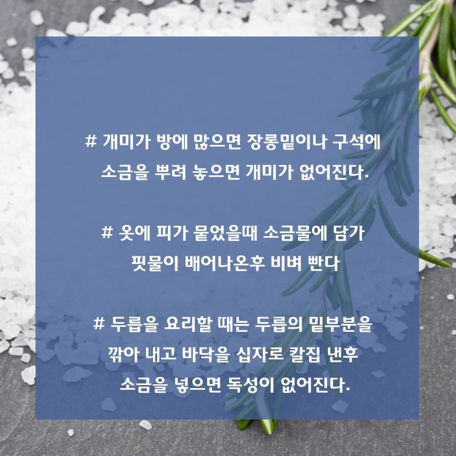 청소특공대 이미지