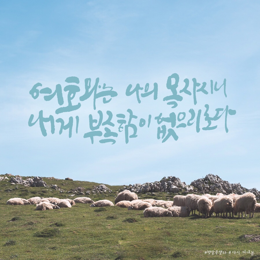캘리 이미지