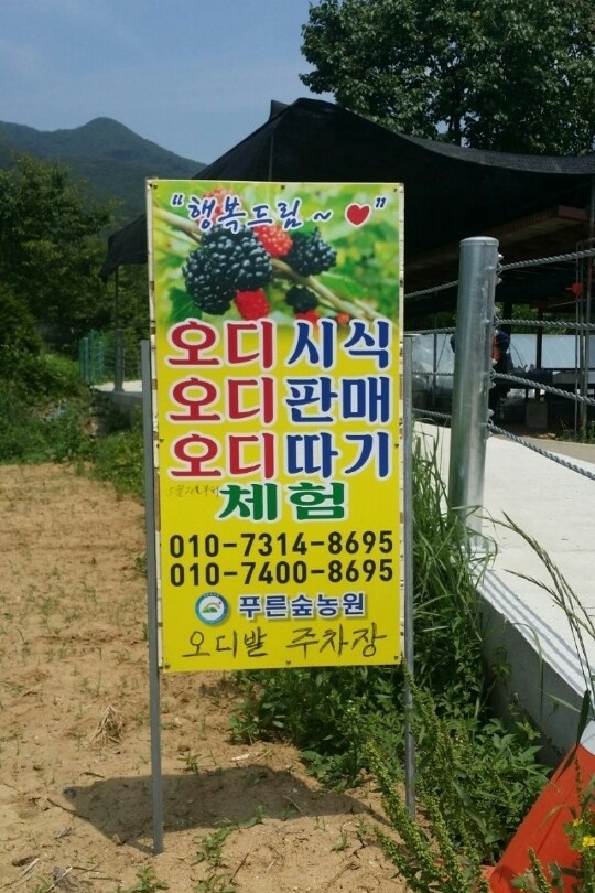 푸른숲농원 이미지