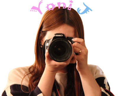다미홍 이미지