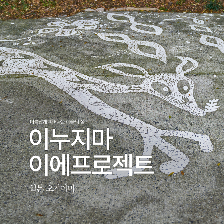 해누지 이미지