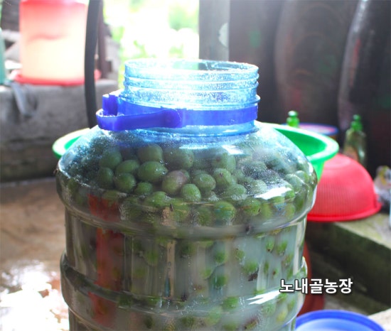 홍천노내골농장 이미지