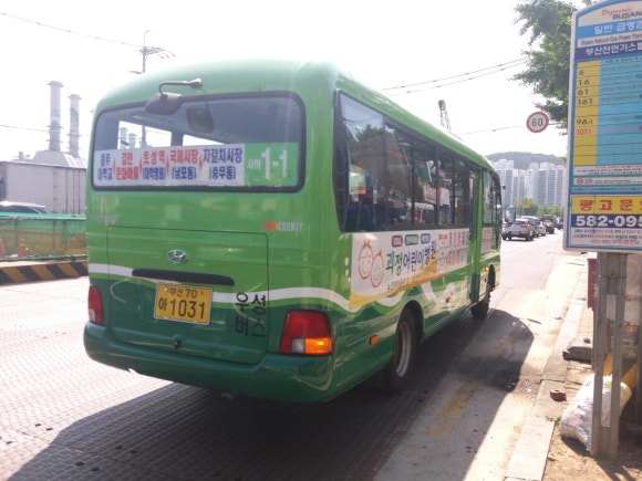 광선사 이미지