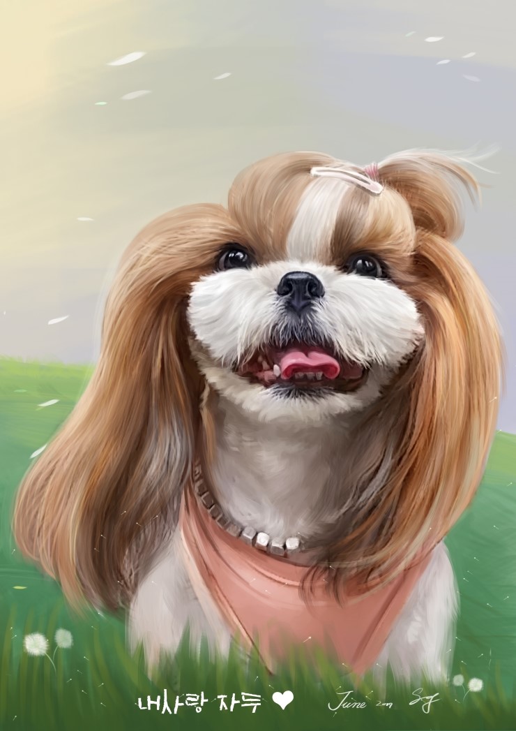 보리사랑 이미지