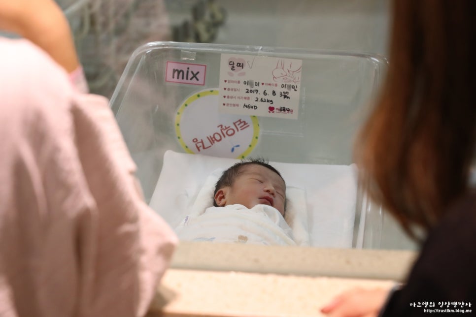 달띠 이미지