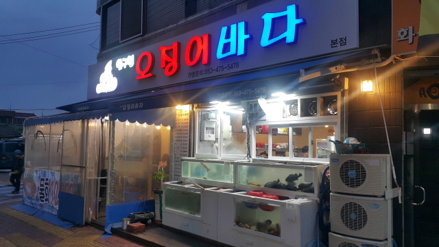 압구정오징어바다 이미지